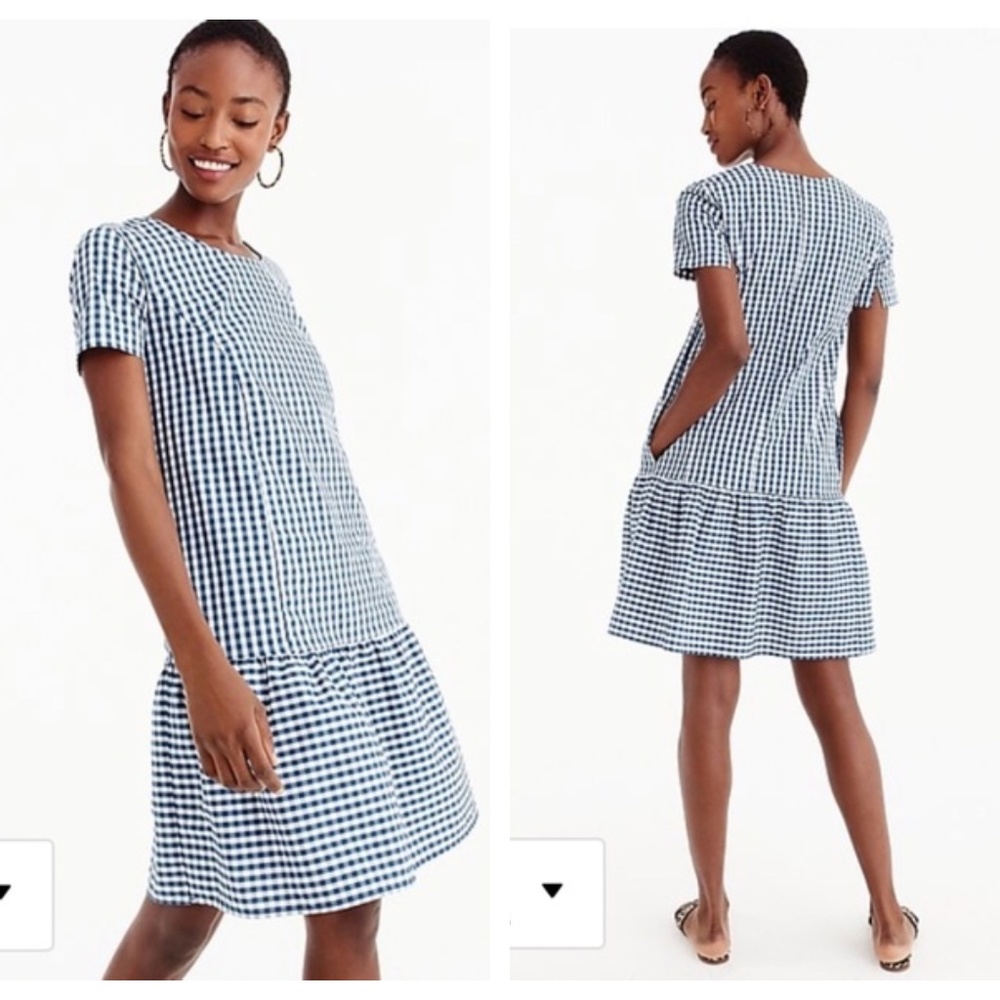 J. Crew X Universal Standard Gingham Poplin Dress